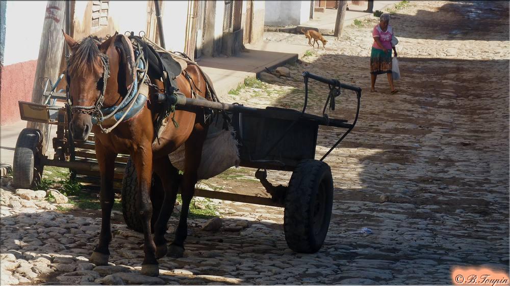 trinidad Vielle rue charrette a cheval