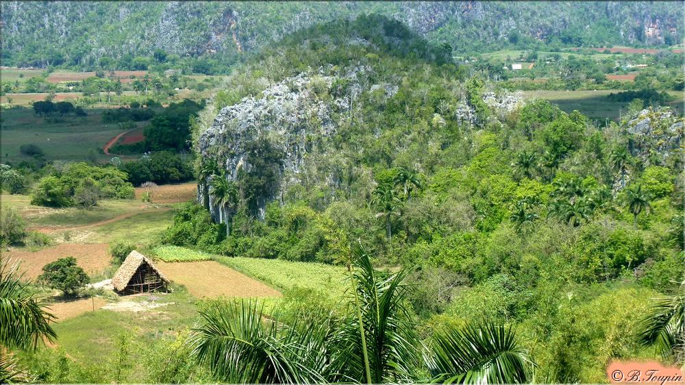 Mogote dans la valle de Vinales