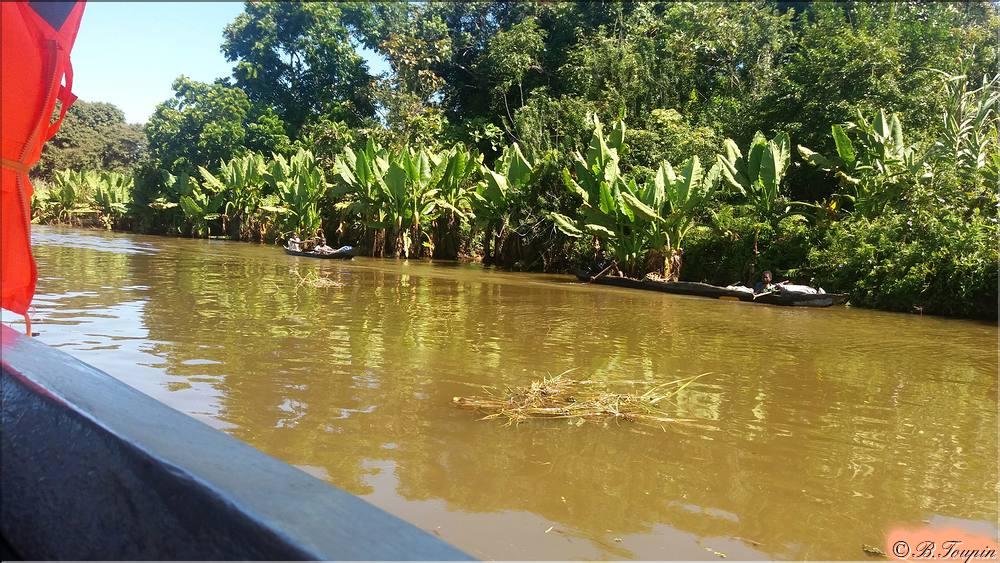 Le canal et sa vgtation
