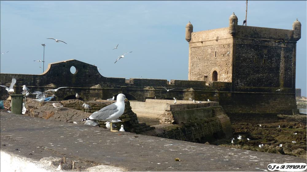 Essaouira - Les fortifications