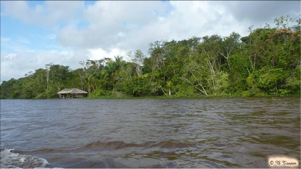 delta de l'ornoque 