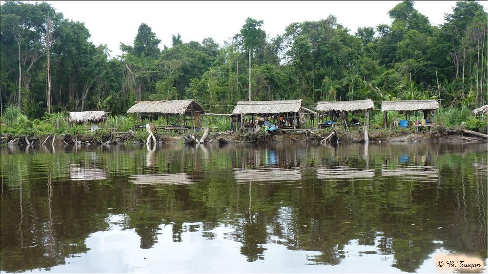 delta de l'ornoque un village sur pilotis