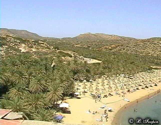 Palmeraie et plage de VAI